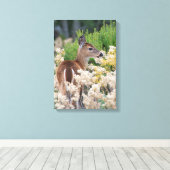 Cute Little Fawn Canvas Afdruk (Insitu (Houten vloer))