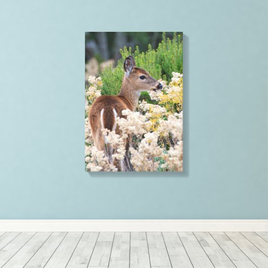 Cute Little Fawn Canvas Afdruk (Insitu (Houten vloer))