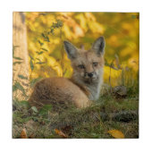 Cute Little Fox Ceramic Tegel Tegeltje (Voorkant)