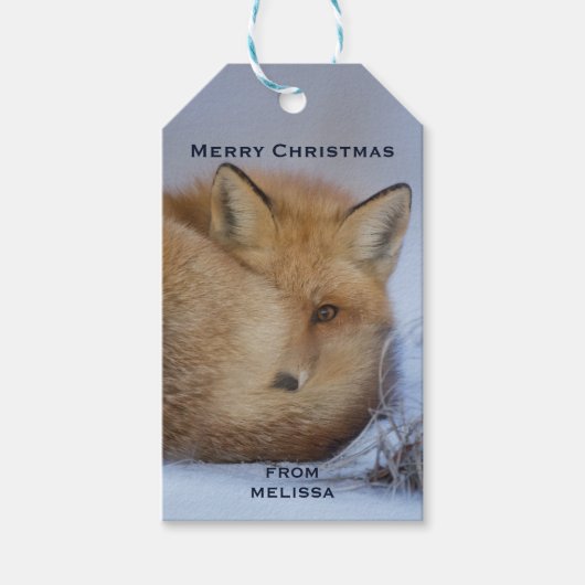 Cute Little Fox gekruld op Winter Foto Kerstmis Cadeaulabel (Voorkant)