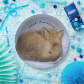 Cute Little Fox gekruld op Winter Foto Kerstmis Papieren Bordje (Feest)