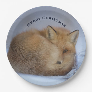 Cute Little Fox gekruld op Winter Foto Kerstmis Papieren Bordje