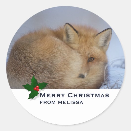 Cute Little Fox gekruld op Winter Foto Kerstmis Ronde Sticker (Voorkant)