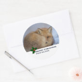 Cute Little Fox gekruld op Winter Foto Kerstmis Ronde Sticker (Envelop)