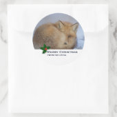 Cute Little Fox gekruld op Winter Foto Kerstmis Ronde Sticker (Tas)