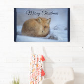 Cute Little Fox gekruld op Winter Foto Kerstmis Spandoek (Insitu)