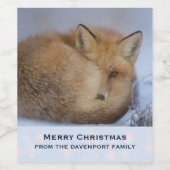 Cute Little Fox gekruld op Winter Foto Kerstmis Wijn Etiket (Enkel label)