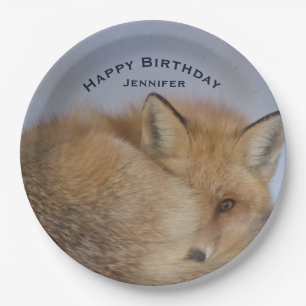 Cute Little Fox kwam in de winter foto Birthday Papieren Bordje