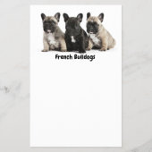 Cute little French Bulldogs Label Flyer (Voorkant)