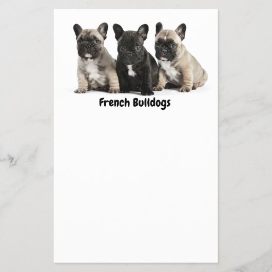 Cute little French Bulldogs Label Flyer (Voorkant)