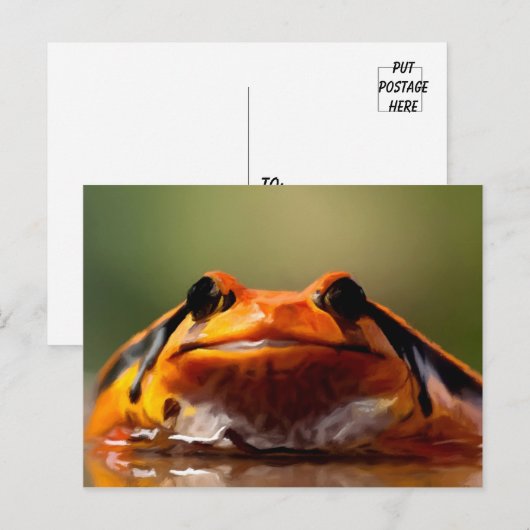 Cute Little Frog Amphibian Natuur Briefkaart (Voorkant / Achterkant)