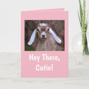 Cute Little Goat Birthday Kaart