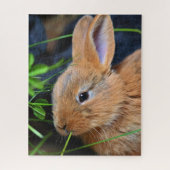Cute Little Golden Bunny Legpuzzel (Verticaal)