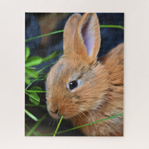 Cute Little Golden Bunny Legpuzzel