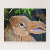 Cute Little Golden Bunny Legpuzzel (Horizontaal)