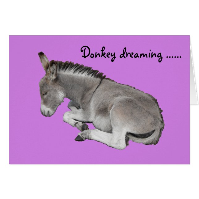 Cute Little Grey Donkey Baby Foal Dreaming (Voorkant Horizontaal)