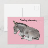 Cute Little Grey Donkey Baby Foal Slaping Briefkaart (Voorkant / Achterkant)