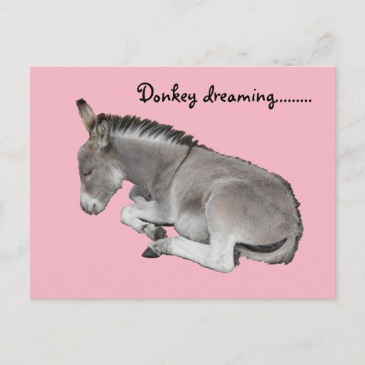Cute Little Grey Donkey Baby Foal Slaping Briefkaart (Voorkant)