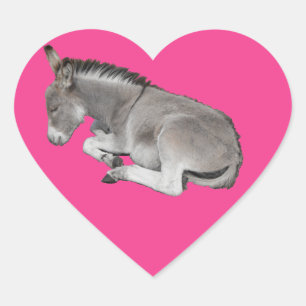 Cute Little Grey Donkey Baby Foal Slaping Hart Sticker