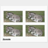 Cute Little Grey Donkey Baby Foal Slaping Rechthoekige Sticker (Vel)