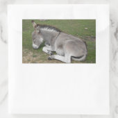 Cute Little Grey Donkey Baby Foal Slaping Rechthoekige Sticker (Tas)