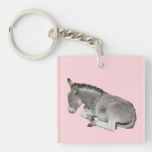 Cute Little Grey Donkey Baby Foal Slaping