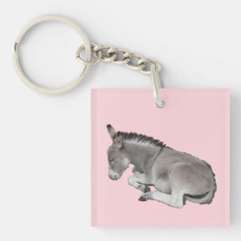 Cute Little Grey Donkey Baby Foal Slaping Sleutelhanger