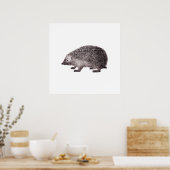 Cute Little Hedegel Poster (Keuken)