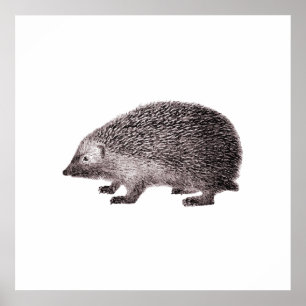 Cute Little Hedegel Poster