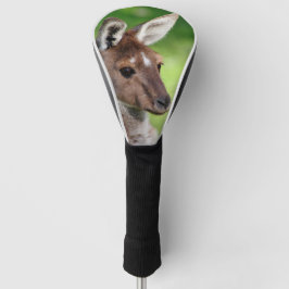 Cute Little Kangaroo Golfheadcover