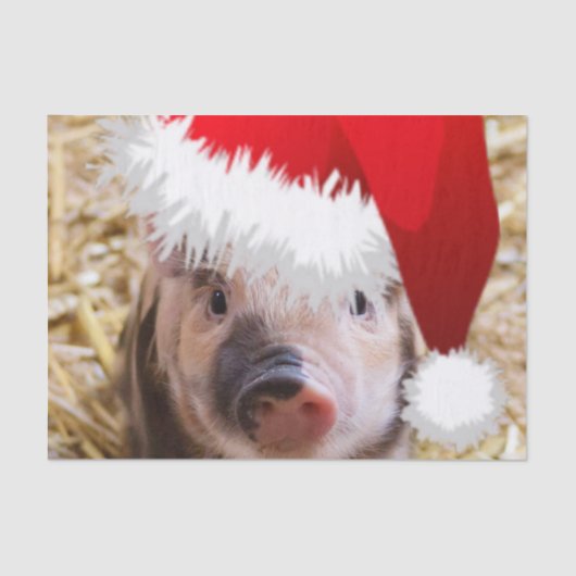 Cute Little Kerstpiglet Tissuepapier (Voorkant)