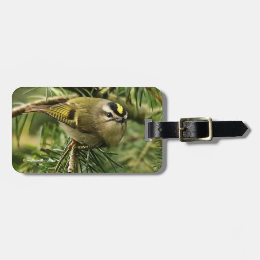 Cute Little Kinglet veroorzaakt een Stir in de Fir Bagagelabel (Voorkant horizontaal)