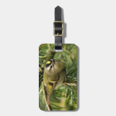 Cute Little Kinglet veroorzaakt een Stir in de Fir Bagagelabel (Voorkant verticaal)