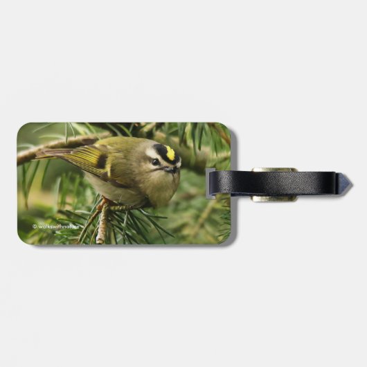 Cute Little Kinglet veroorzaakt een Stir in de Fir Bagagelabel (Achterkant horizontaal)