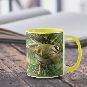 Cute Little Kinglet veroorzaakt een Stir in de Fir Mok