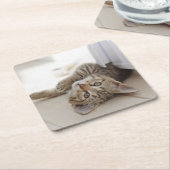Cute Little Kitten Kartonnen Onderzetters (Schuin)