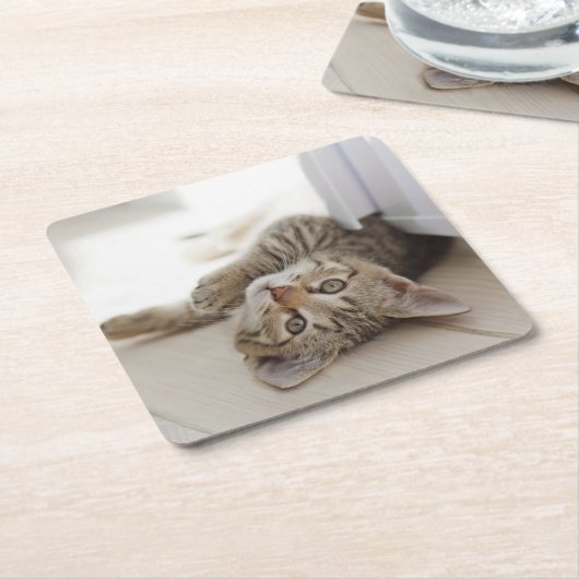 Cute Little Kitten Kartonnen Onderzetters (Schuin)