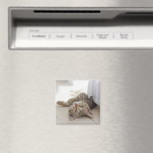 Cute Little Kitten Magneet (Insitu (Vaatwasser))