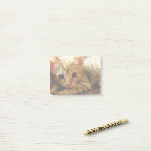 Cute Little Kitten Post-it® Notes (Op bureau)