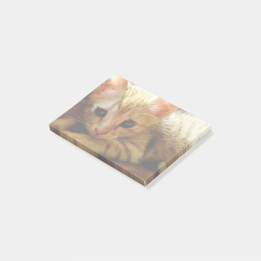 Cute Little Kitten Post-it® Notes (Schuin)