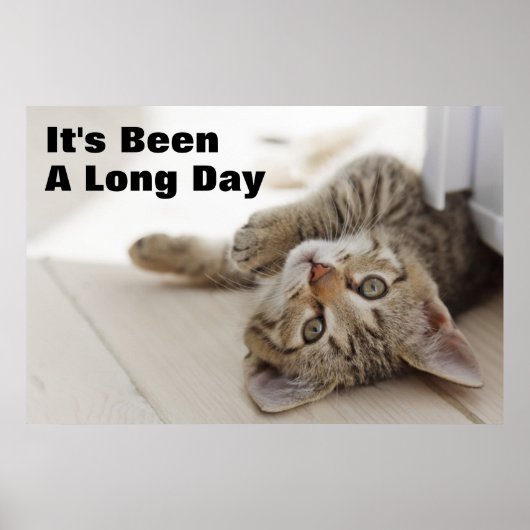 Cute Little Kitten Poster (Voorkant)