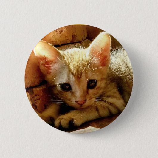 Cute Little Kitten Ronde Button 5,7 Cm (Voorkant)