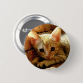 Cute Little Kitten Ronde Button 5,7 Cm (Voorkant /achterkant)