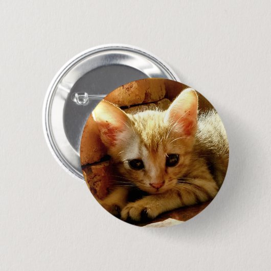Cute Little Kitten Ronde Button 5,7 Cm (Voorkant /achterkant)