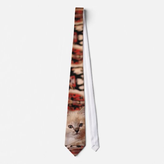 Cute Little Kitten Stropdas (Voorkant)