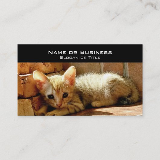 Cute Little Kitten Visitekaartje (Voorkant)