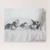 Cute Little Kittens Legpuzzel (Horizontaal)