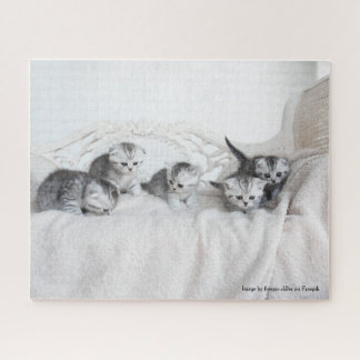 Cute Little Kittens Legpuzzel