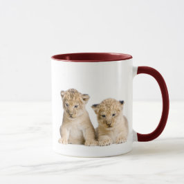 Cute Little Lion Cubs Mok