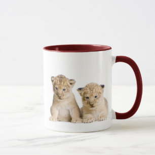 Cute Little Lion Cubs Mok